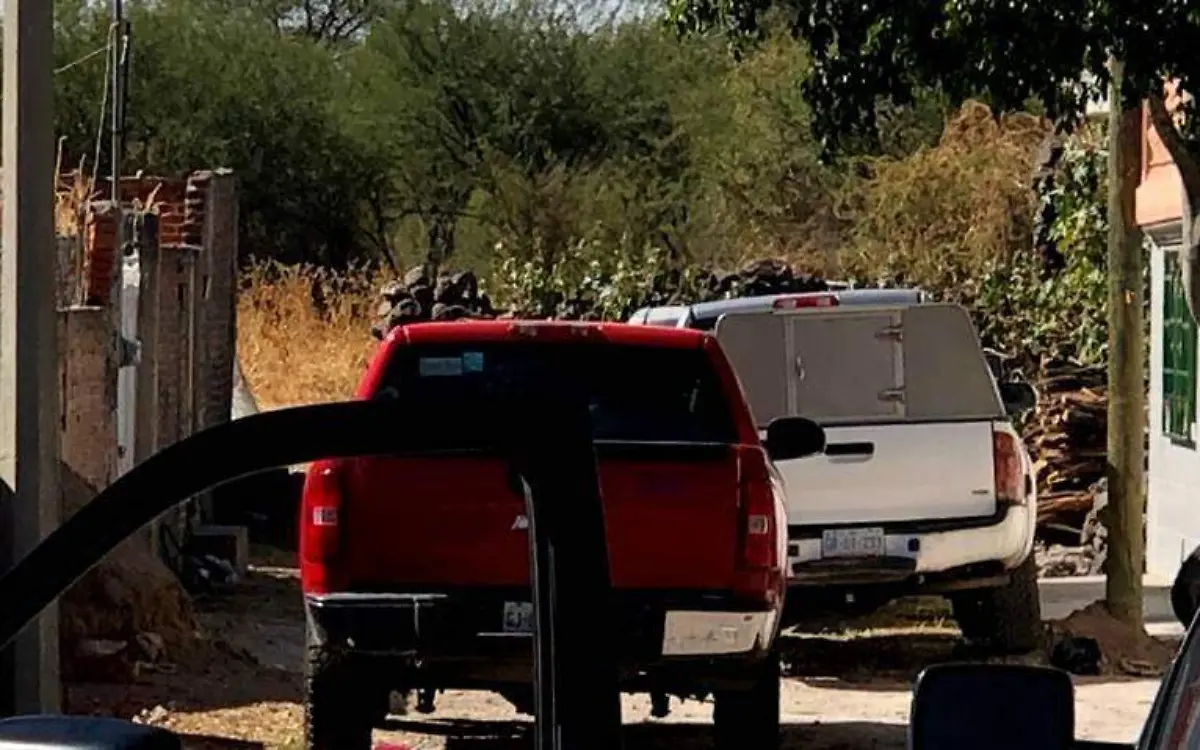 WhatsApp Image 2020-11-04 at 10.54.40 PM