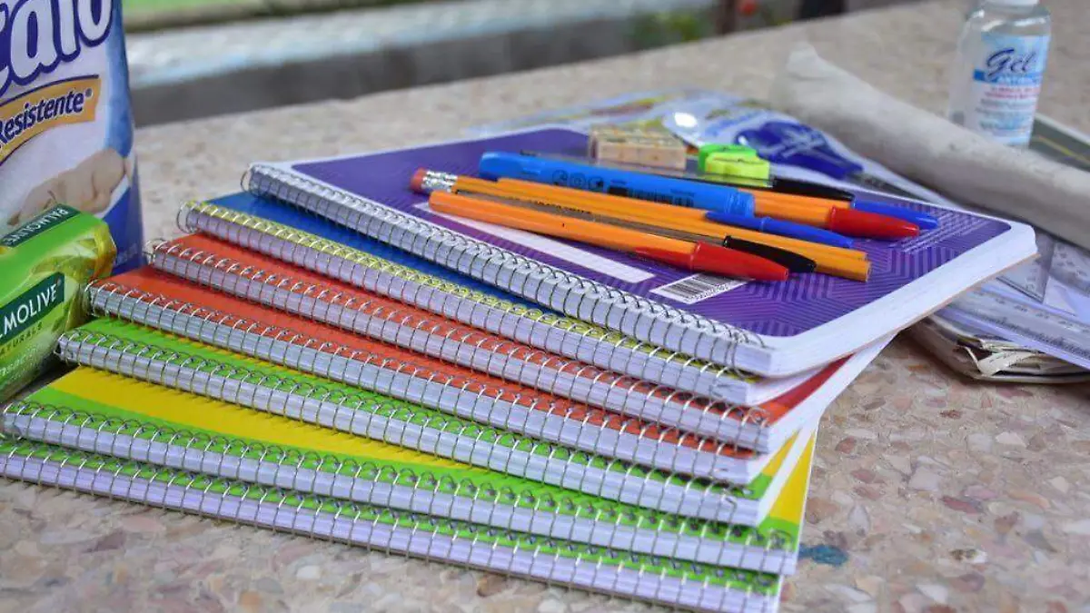 DIF UNIDOS SOMOS UTILES (1)