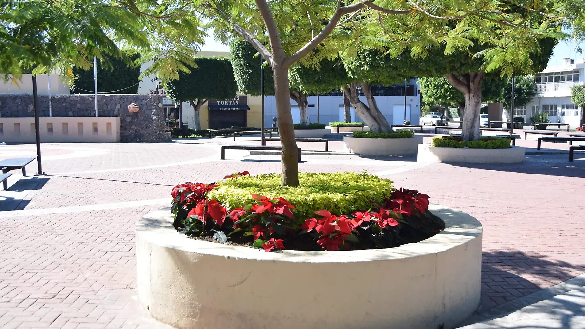 F CARMONA NOCHES BUENAS (9)