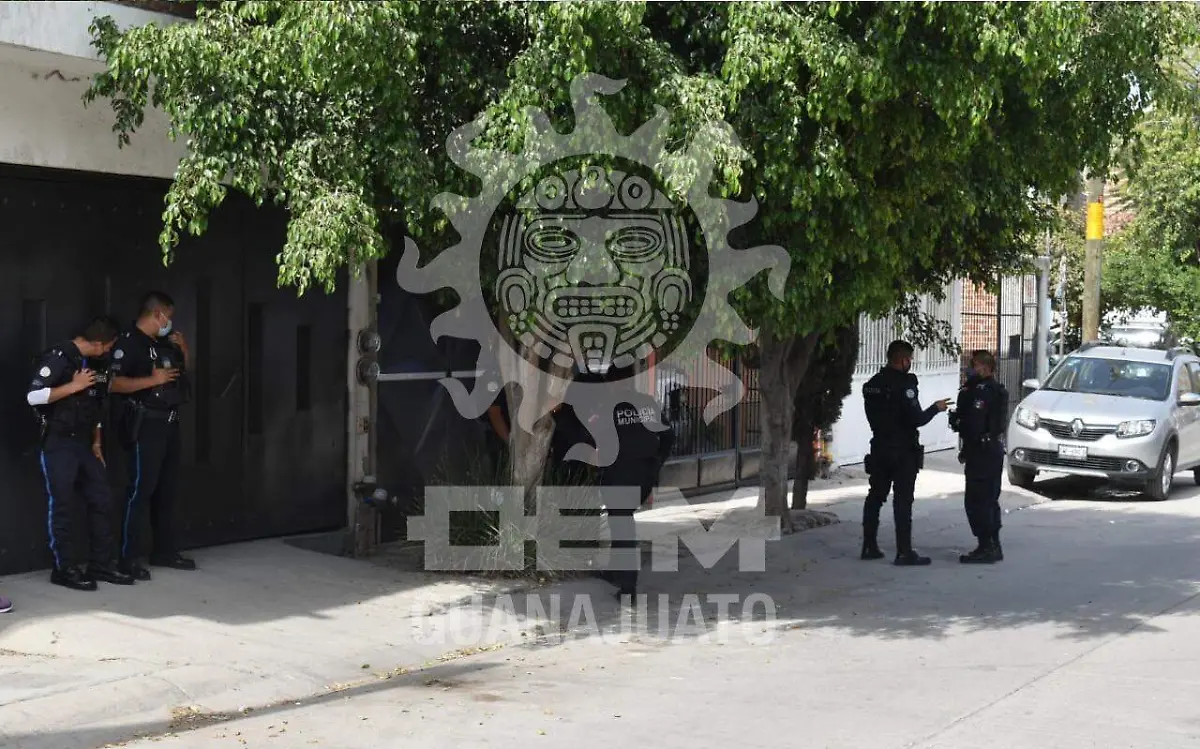 WhatsApp Image 2021-01-08 at 2.10.33 PM