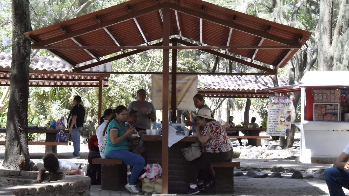 Pase-verde-Zoológico-de-León-3