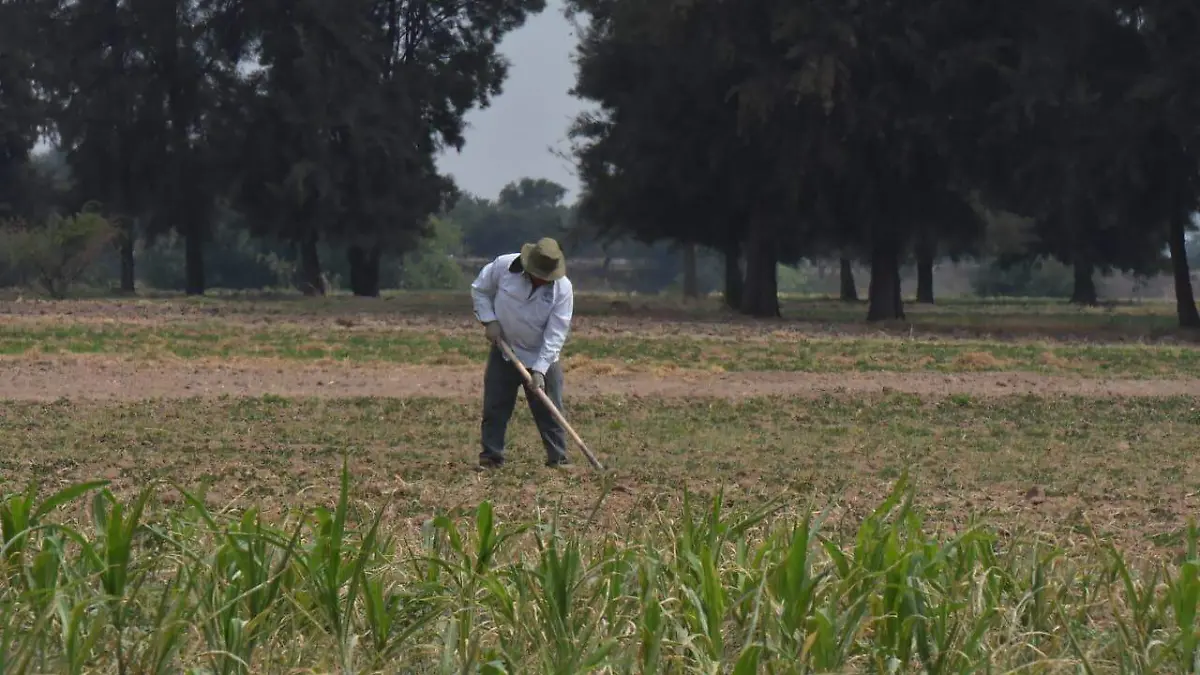 WhatsApp Image 2020-11-11 at 6.26.18 PM