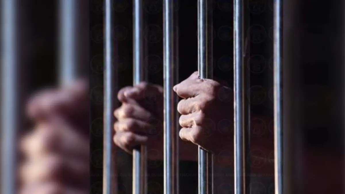 WhatsApp Image 2020-12-11 at 12.59.51 PM