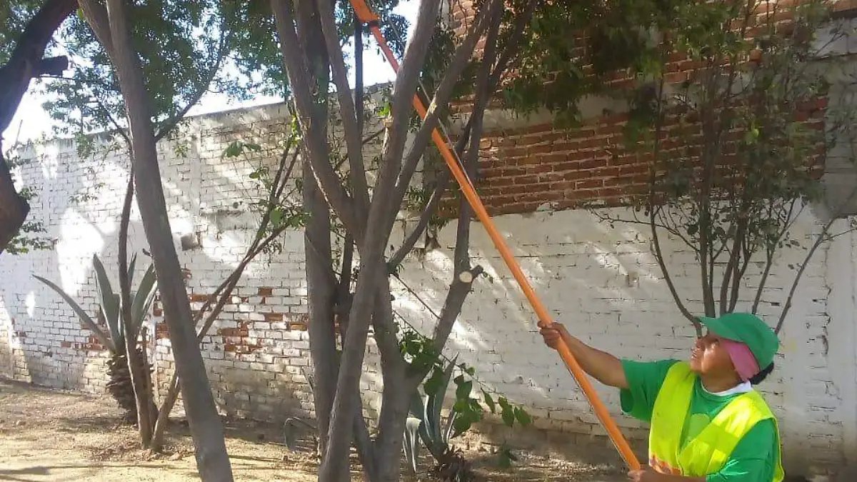 f carmona parque mexico (2)