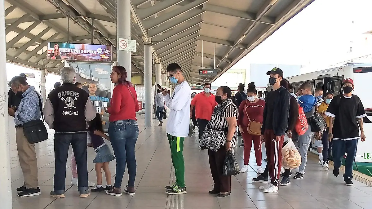 TRANSPORTE-PUBLICO  (1)