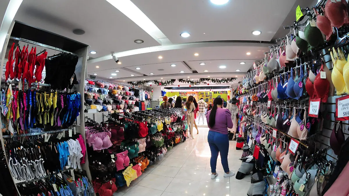 ROPA-INTERIOR  (2)