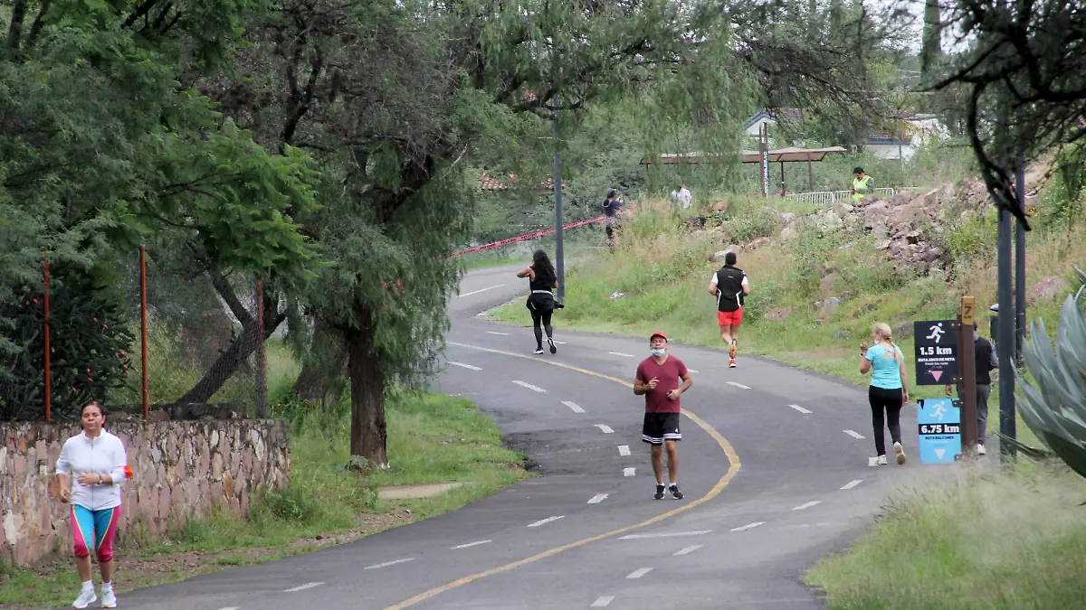 FCO MEZA - METROPOLITANO (4)