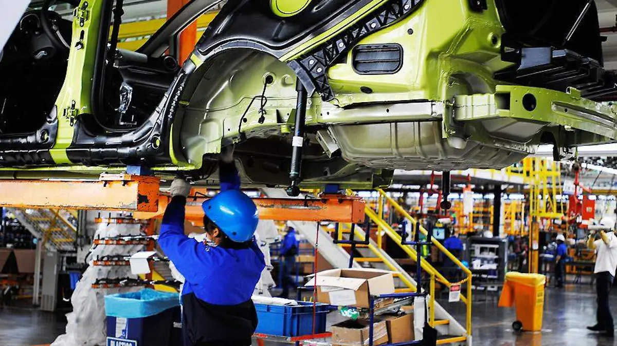 Mano-de-obra-profesional-2