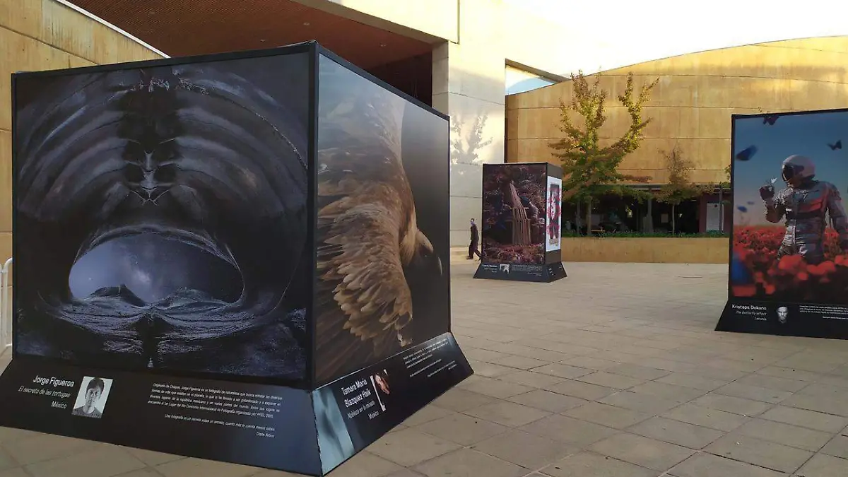 EXPOSICIONES CORTESIA (2)