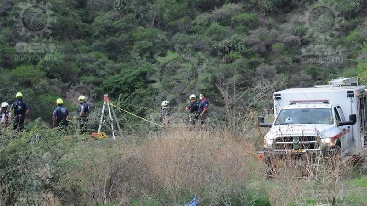 WhatsApp Image 2021-06-23 at 7.57.15 PM