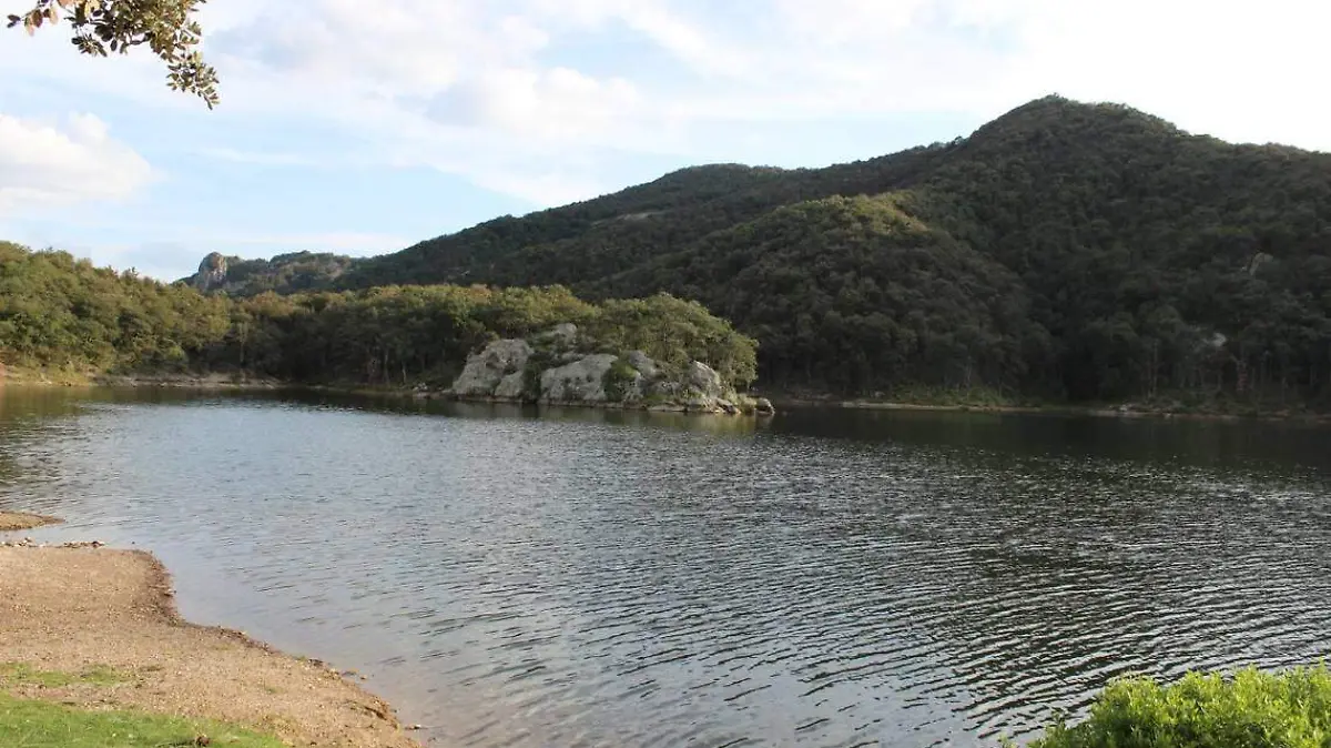 WhatsApp Image 2020-10-07 at 1.11.37 PM