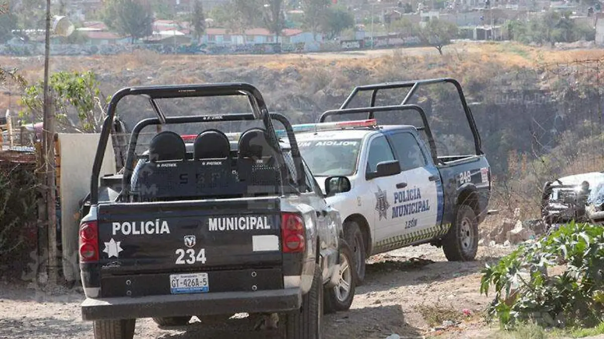 WhatsApp Image 2021-04-25 at 8.00.23 PM