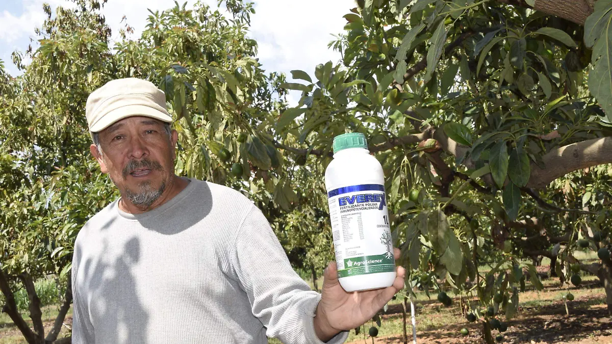 F CARMONA AGUACATE DUARTEÑO (13)