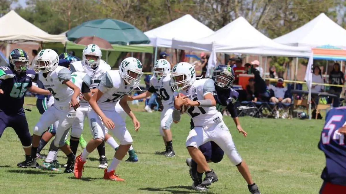 Cachorros-evitan-embestida-de-los-Búfalos-potosinos (3)