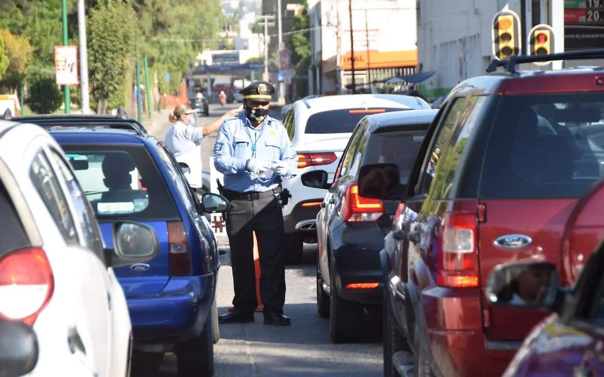 CARMONA PARQUE HIDALGO (4)