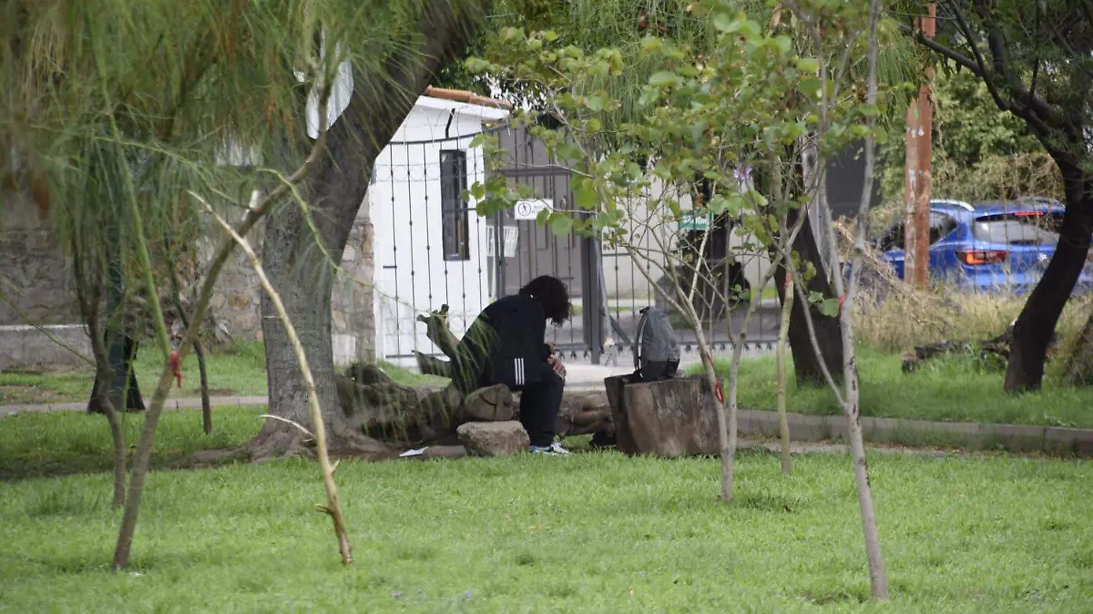 parque-San-Jerónimo (5)