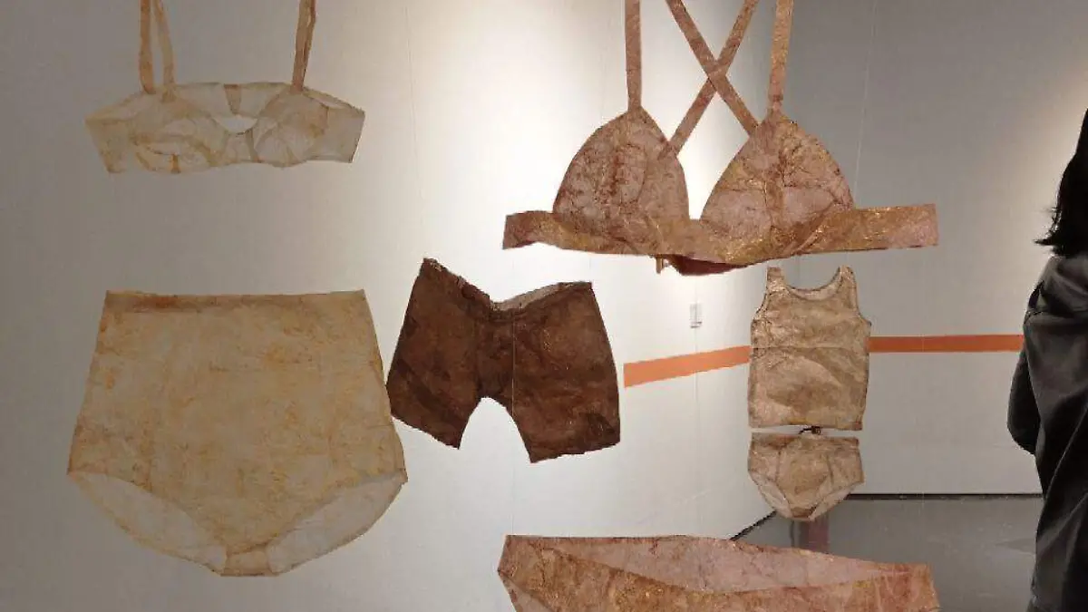  INAUGURACIÓN-DE-ARTE (2)