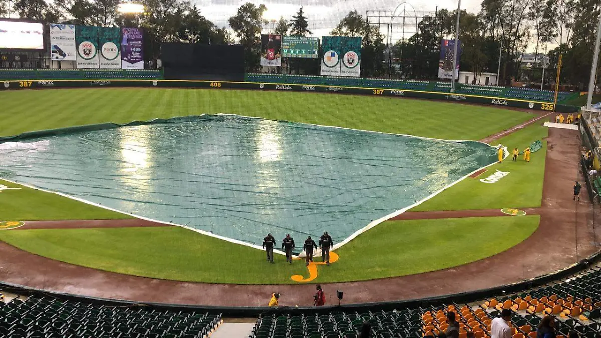 WhatsApp Image 2019-07-24 at 7.46.57 PM