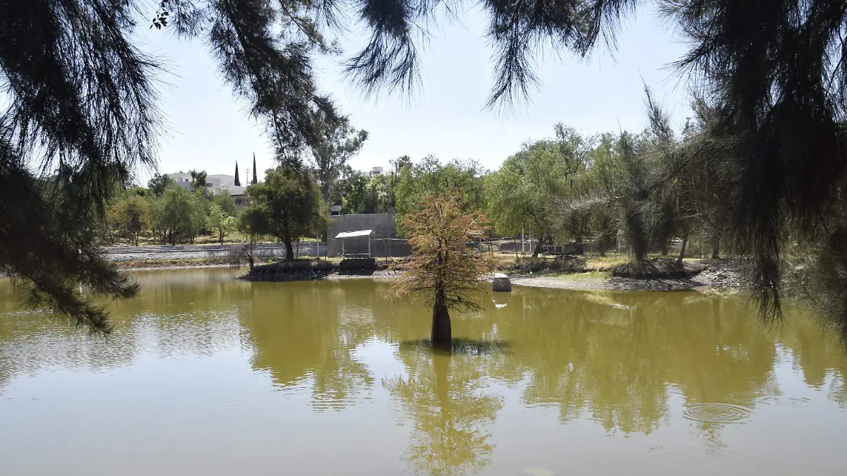 Se-inspira-León-en-CDMX-para-crear-red-de-parques2