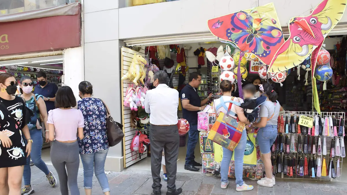 Zona-Centro-de-León-3