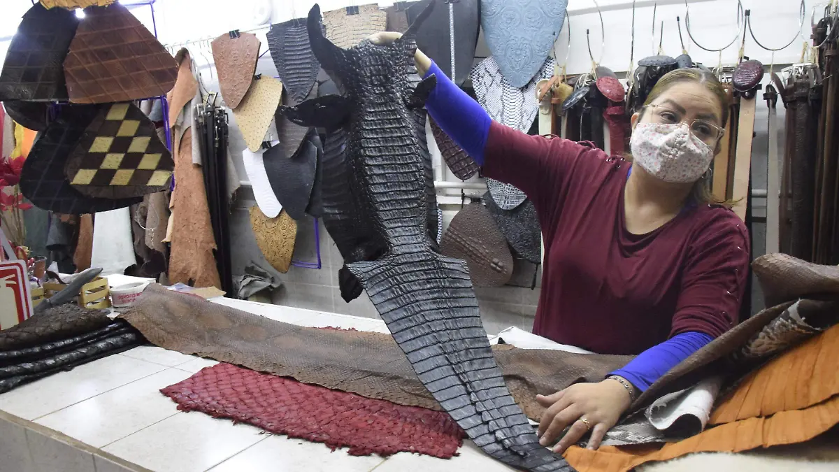 F CARMONA DISRITO NEGOCIOS PIEL (1)