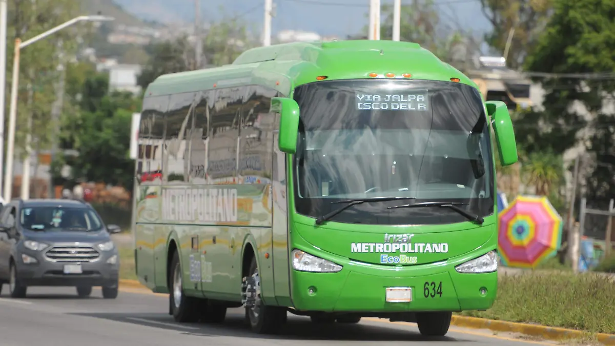 GGARCIA METROPOLITANO (3)