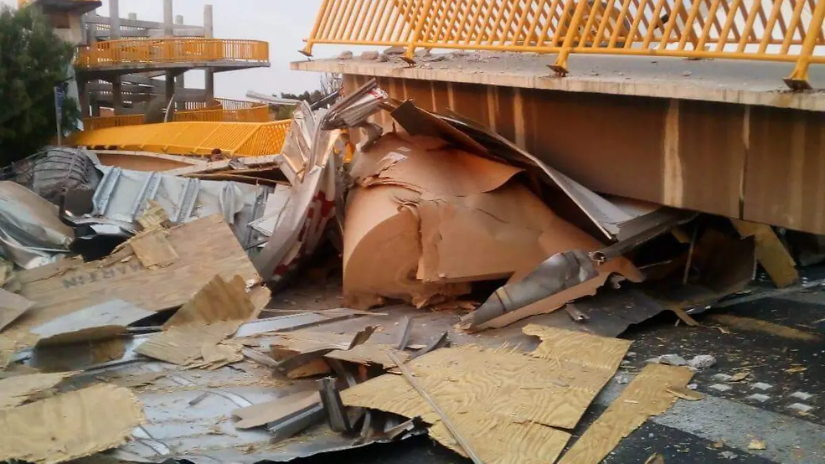 WhatsApp Image 2020-01-07 at 7.08.21 PM