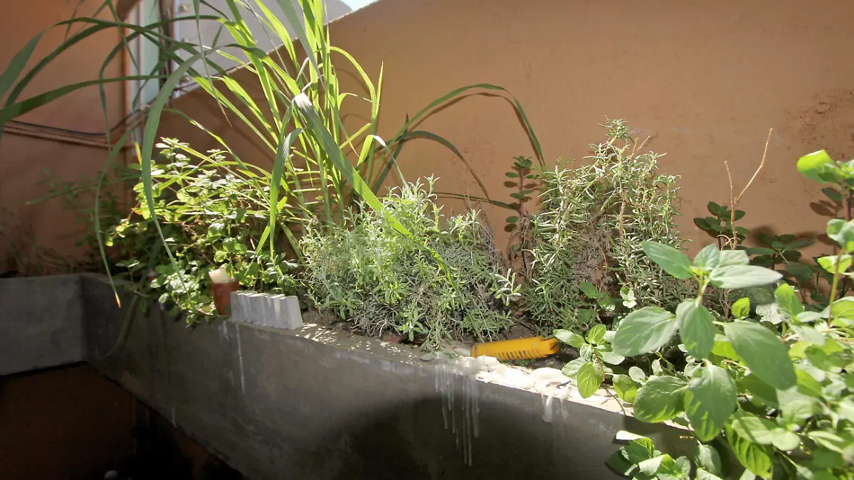 Mixólogo-Sergio-Martínez-3