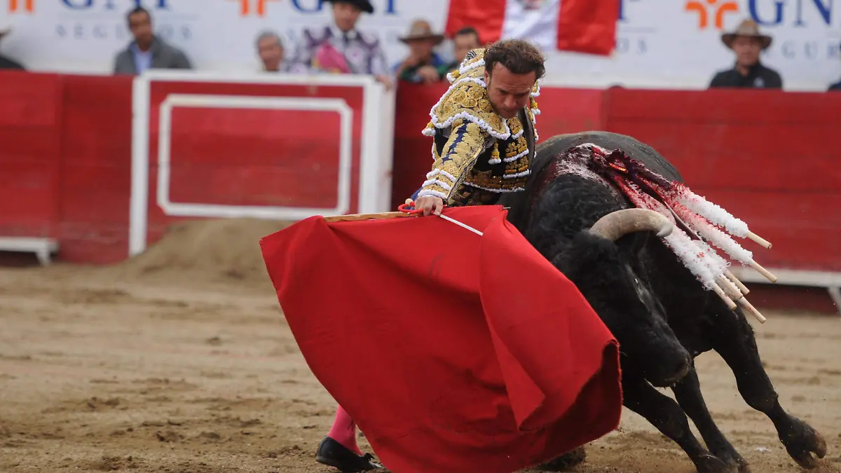 GGARCIA TOROS BARRERA (4)