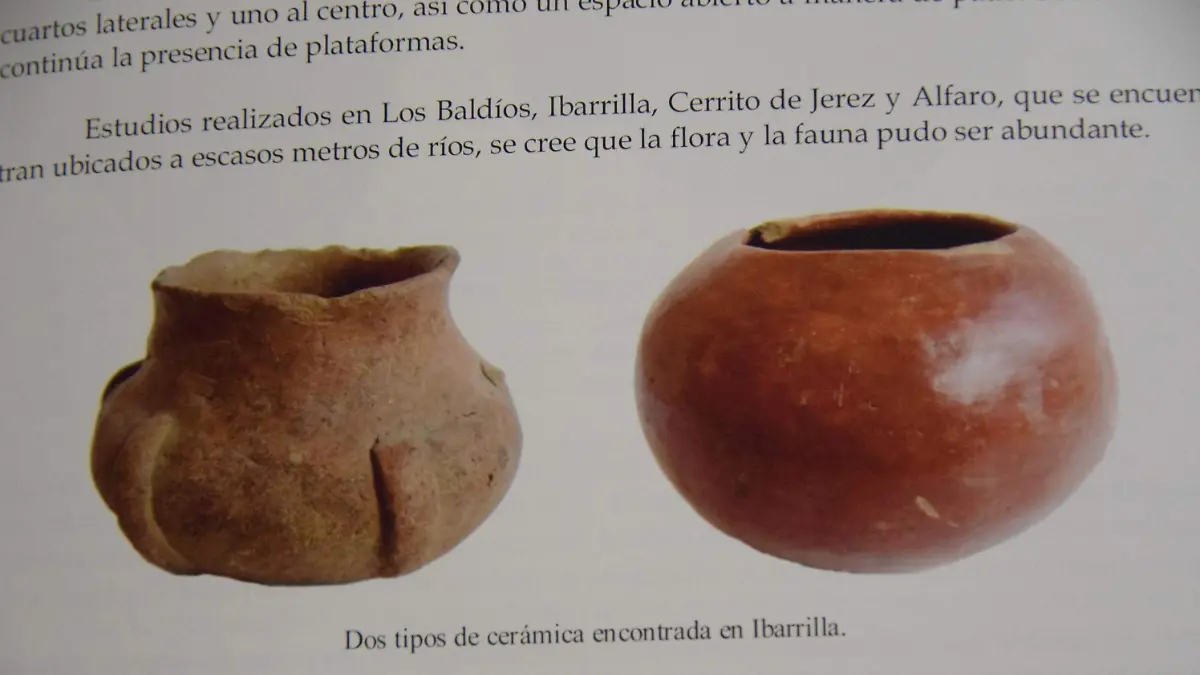 Sobresalen-vestigios-arqueológicos-en-León4