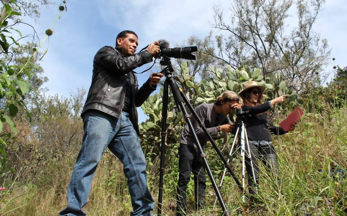 91bb2317-7d57-4d40-a125-e05d90af0bc1