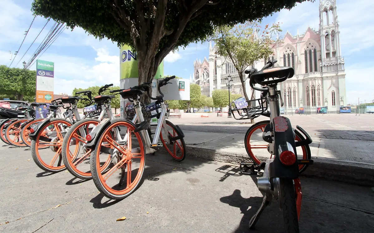BICI PÚBLICA (6)