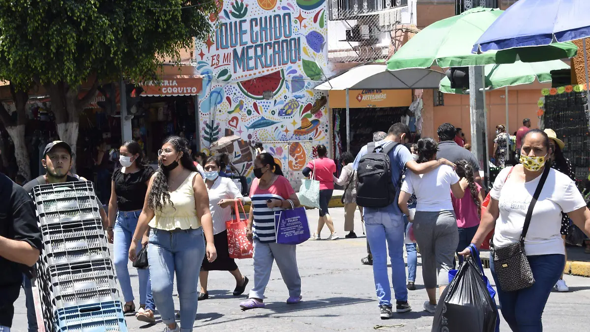 Zona-Centro-de-León-2