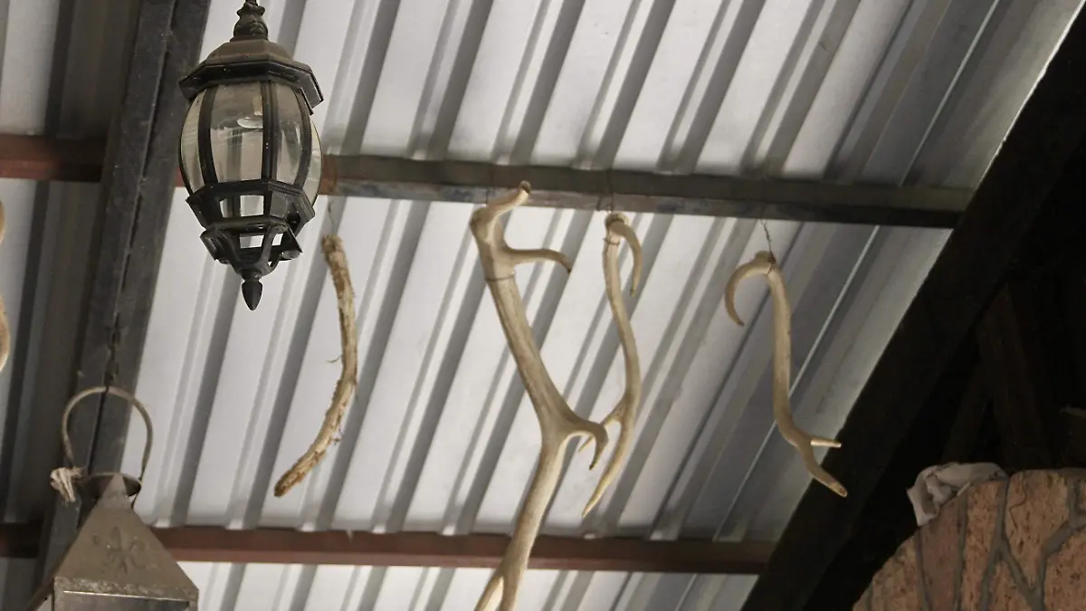 Cabaña-del-Tío-Búfalo  (3)