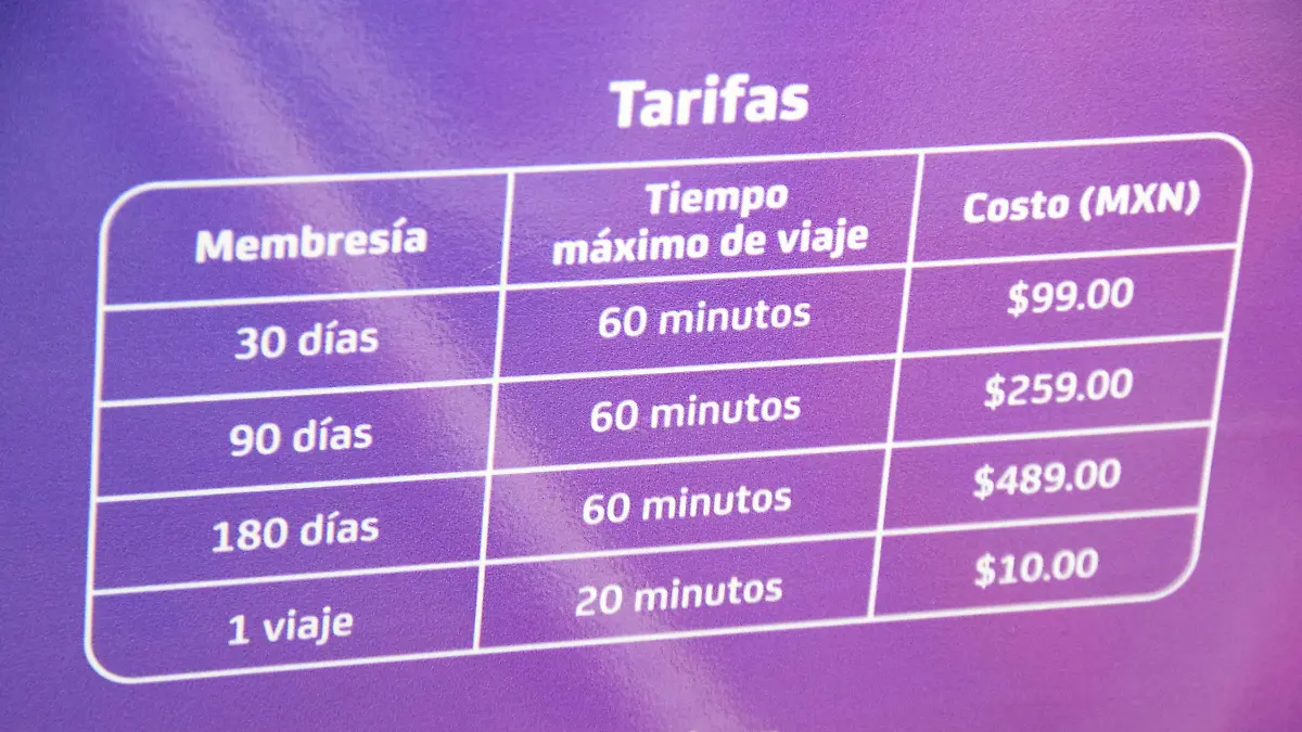 f carmona bici publica (11)