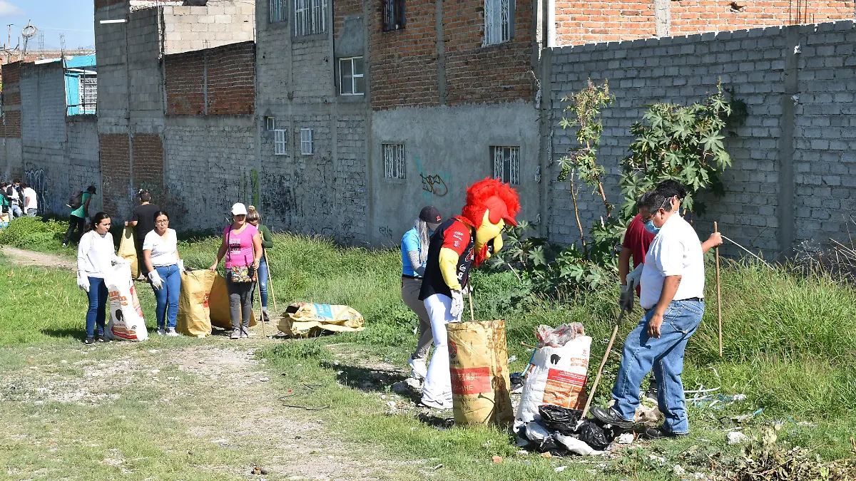 BASURA (3)