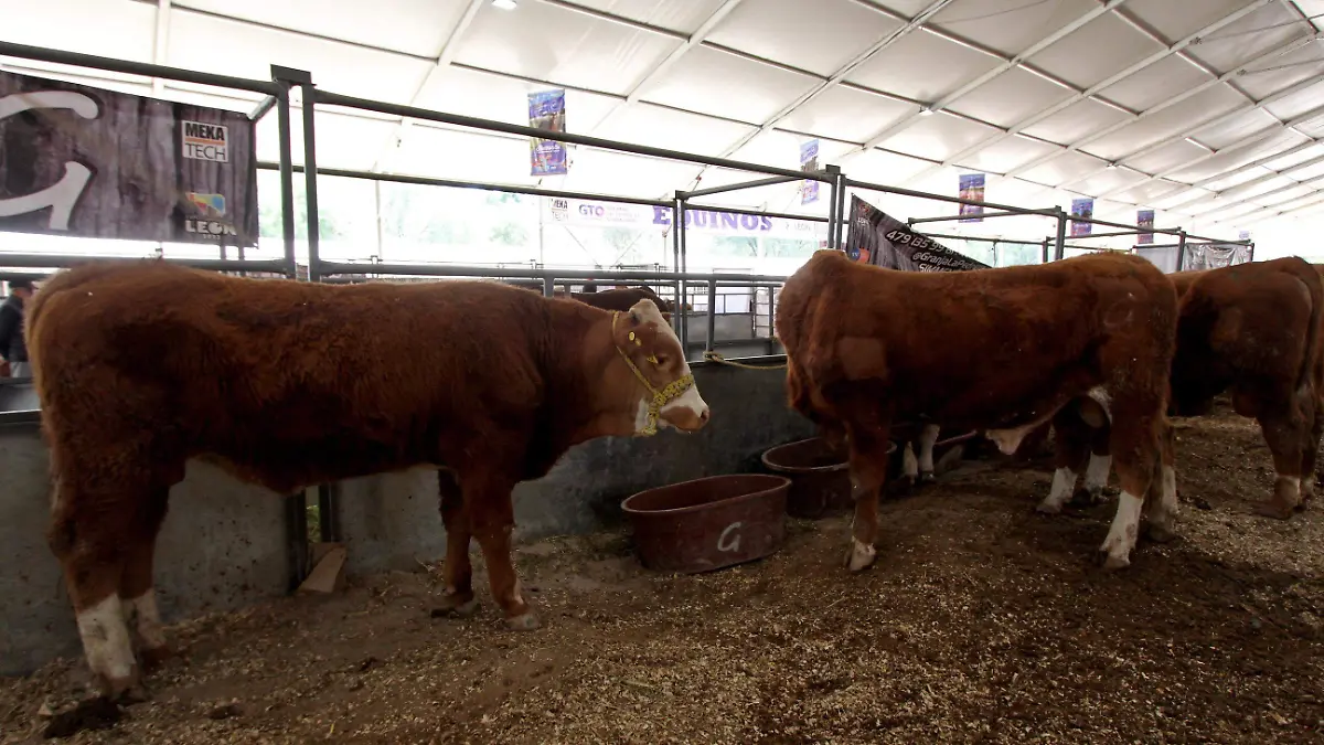 APOYOS-a-GANADEROS  (6)