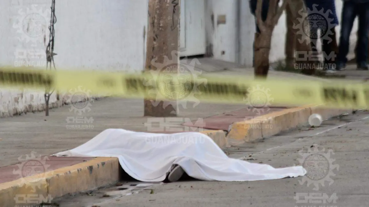 WhatsApp Image 2021-04-06 at 8.29.15 AM