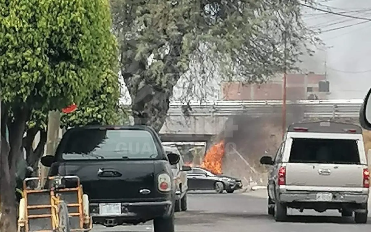 WhatsApp Image 2021-01-24 at 5.33.57 PM