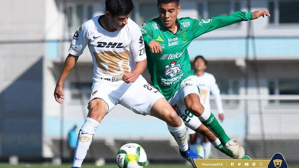 WhatsApp Image 2019-02-24 at 1.02.48 PM