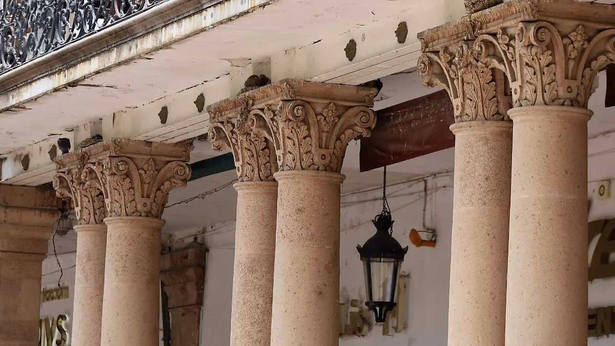 Heces-de-palomas-dañan-monumentos-en-León (3)