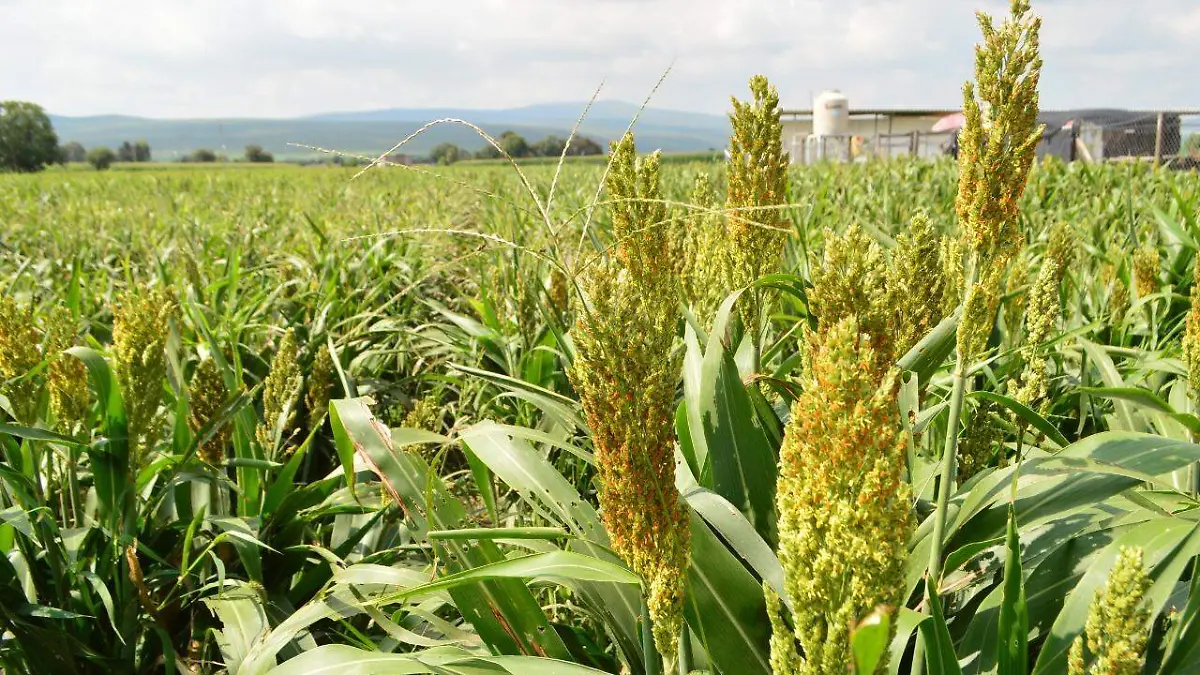 Image 2022-01-06 at 5.57.53 PM