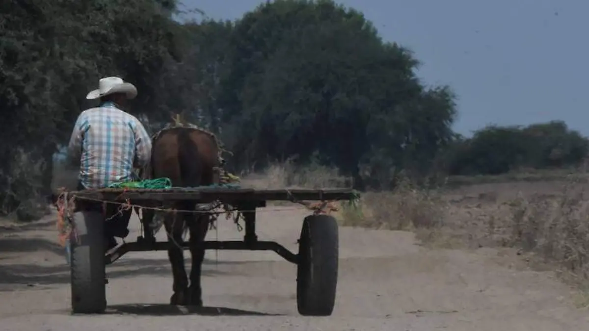 Image 2021-12-19 at 5.54.01 PM