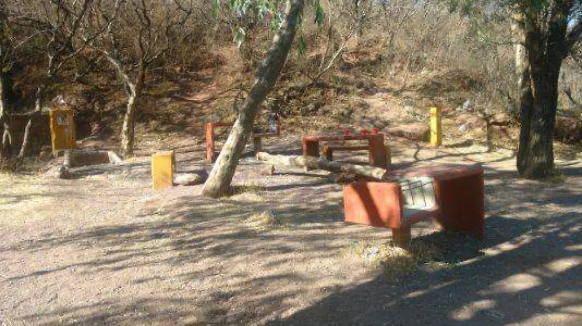 En-el-abandono-1-534x400