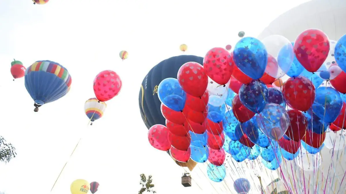 Image 2019-11-16 at 7.18.45 AM