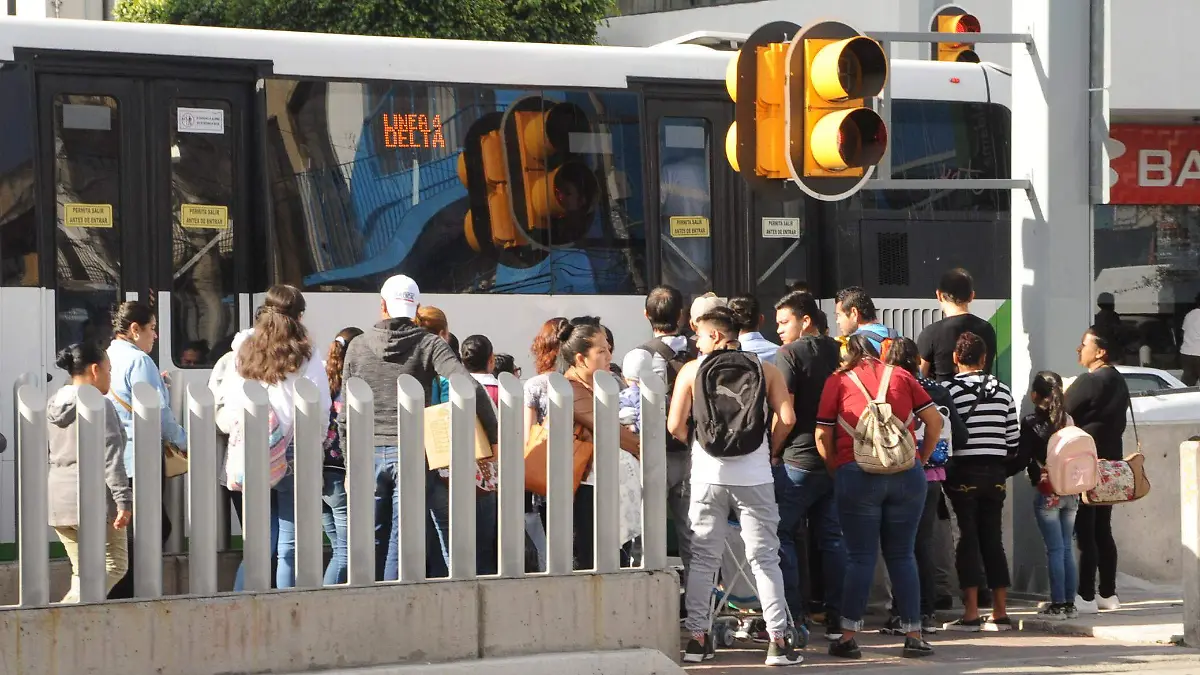 r s ortiz eatacion de orugas (3)