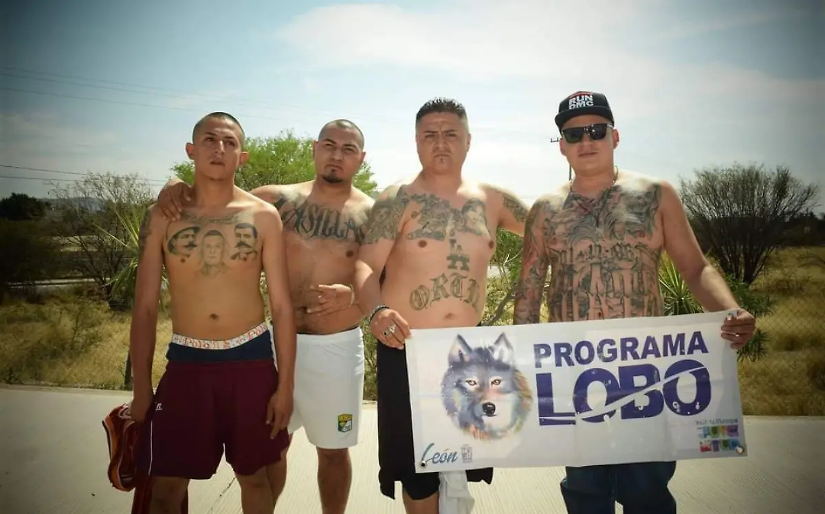 PROGRAMA LOBO (2)