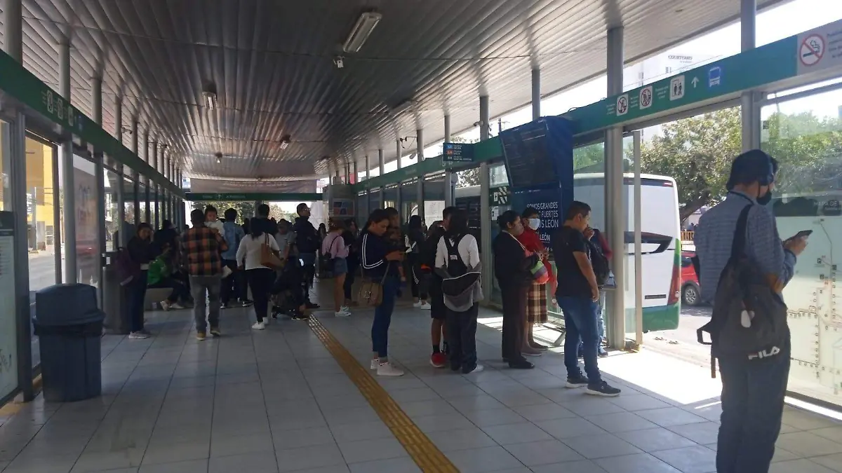 TRASPORTE-PUBLICO (3)