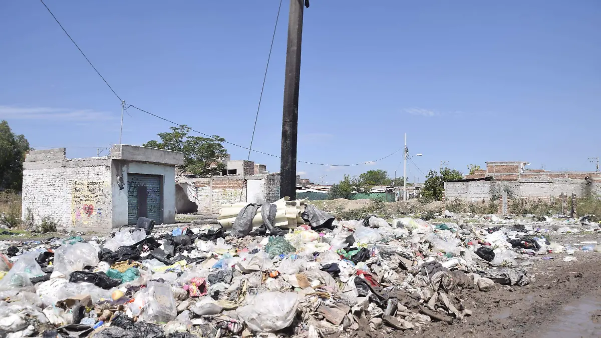 BASURA (1)