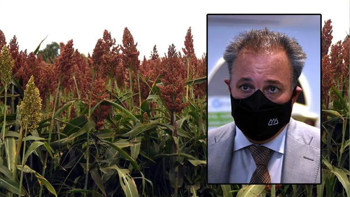 WhatsApp Image 2021-06-13 at 6.58.49 PM